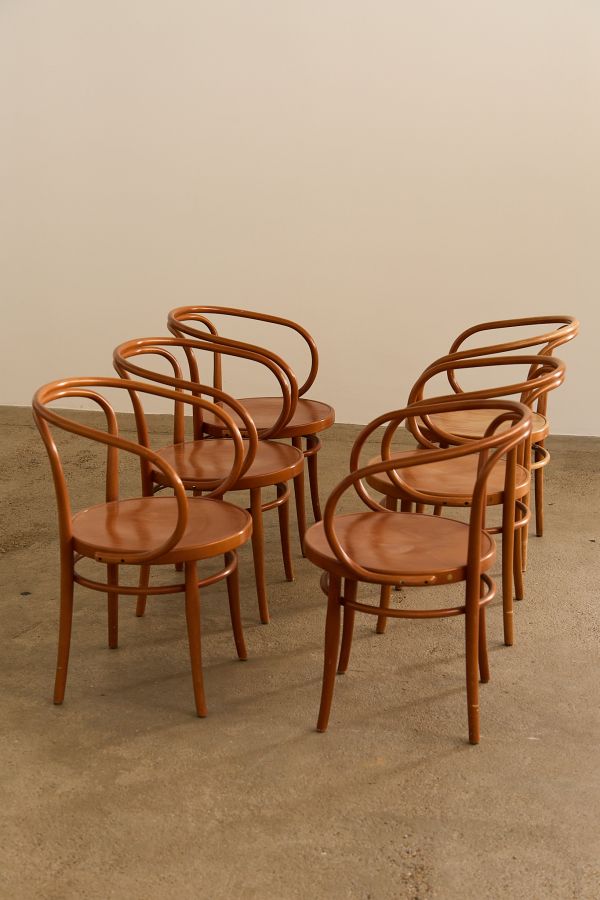 Six Bentwood Chairs Mod 209