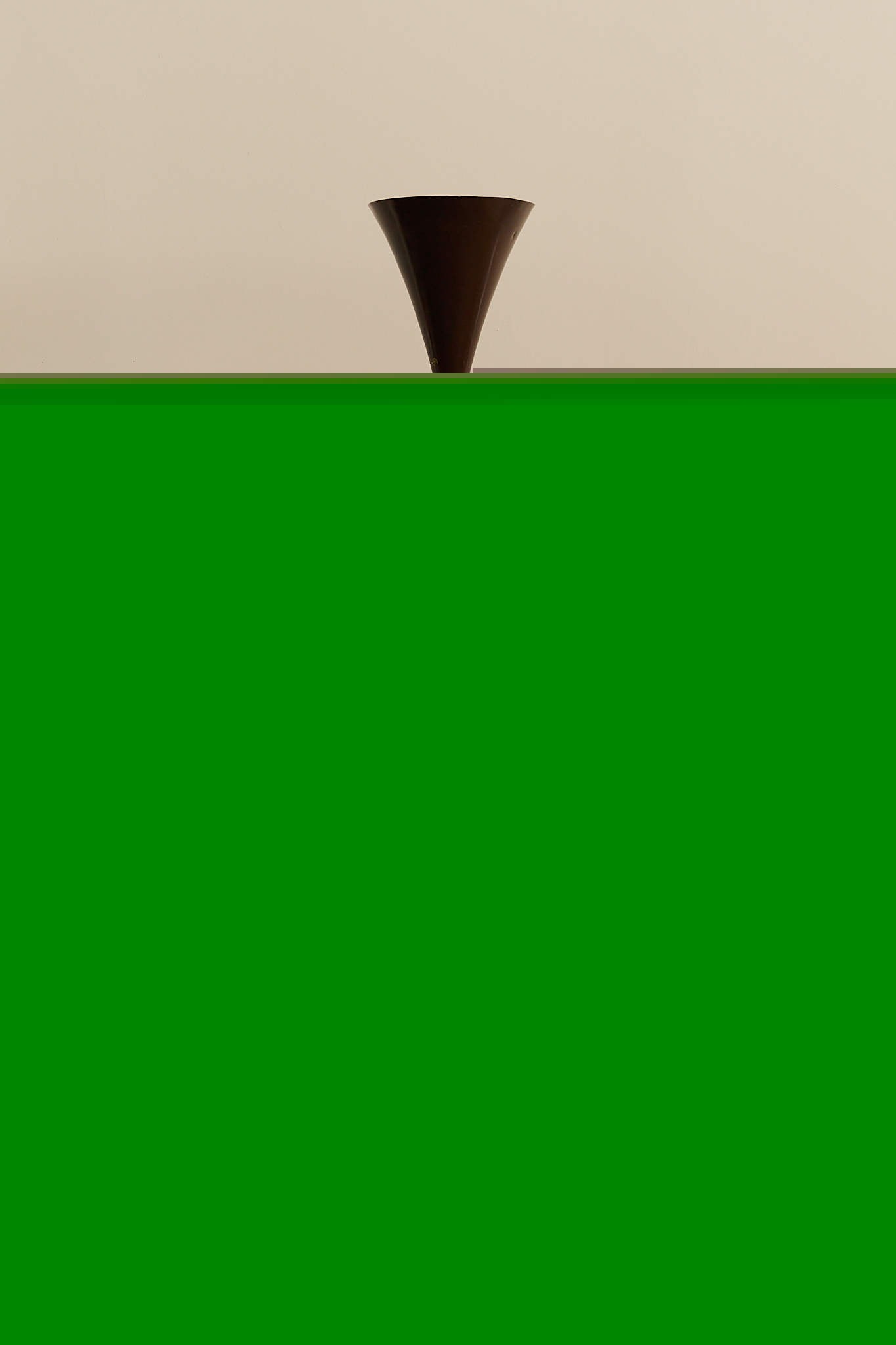Luminator Floor Lamp